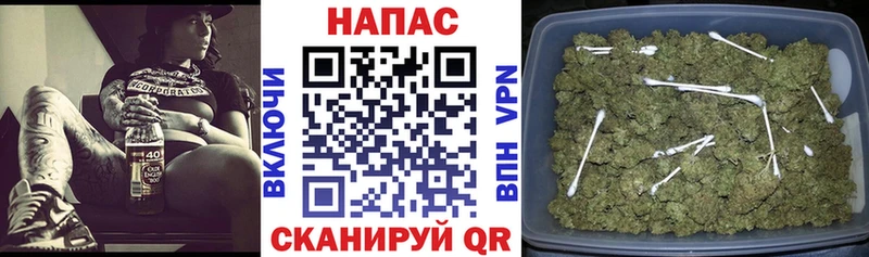 Виды наркотиков купить Сертолово Альфа ПВП ГАШ МАРИХУАНА