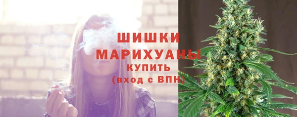 шишки Бугульма