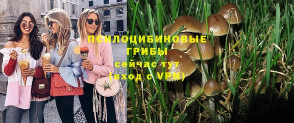 мескалин Бронницы