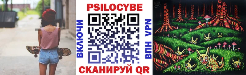 Псилоцибиновые грибы GOLDEN TEACHER  магазин  наркотиков  blacksprut ТОР  Сертолово 